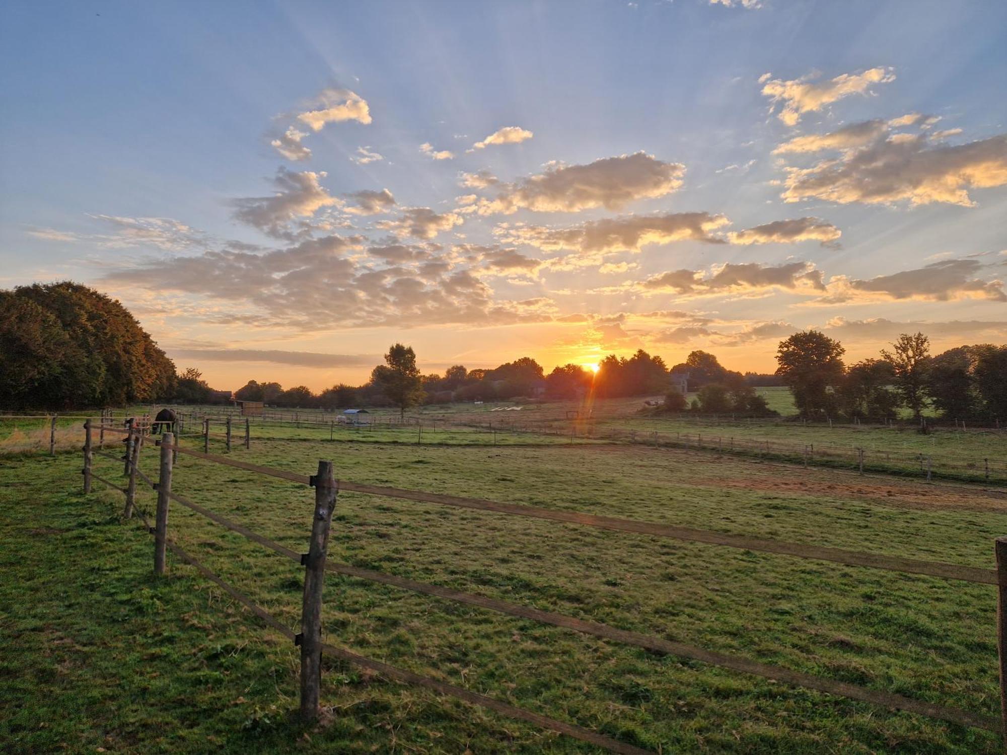 Bed and Breakfast Habitat Momignies Zewnętrze zdjęcie