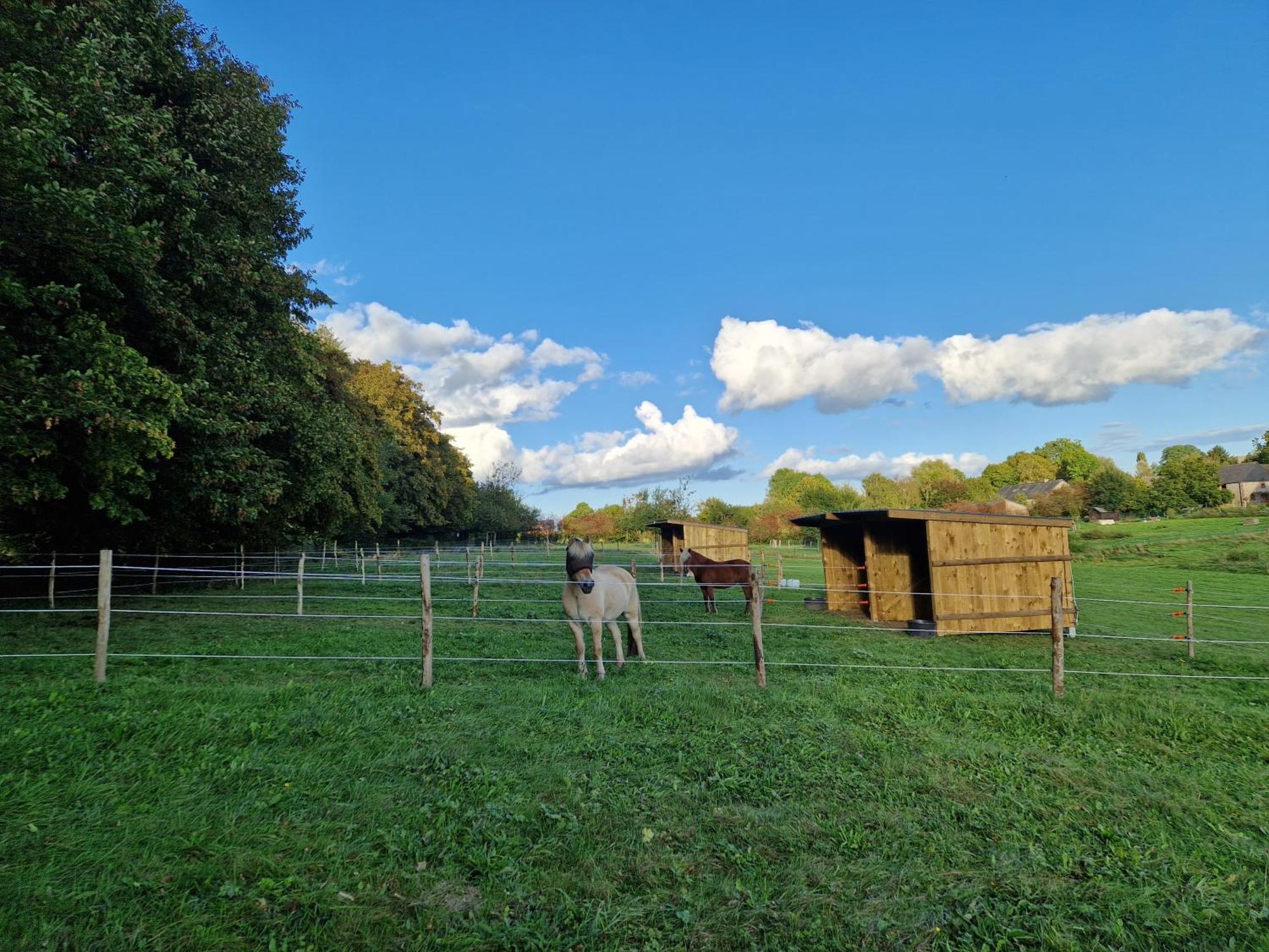 Bed and Breakfast Habitat Momignies Zewnętrze zdjęcie